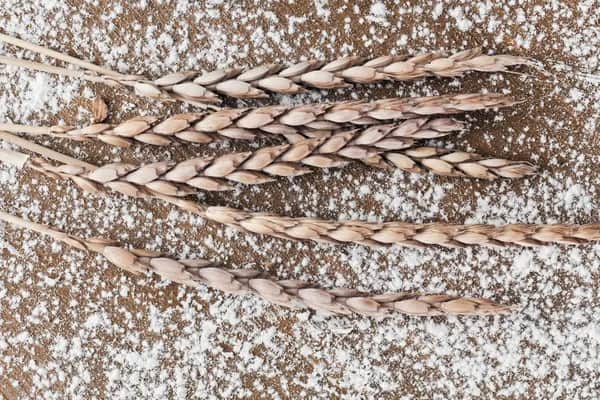 Gesundes Backen mit Dinkel: Die Kraft natürlicher Dinkelbackmischungen