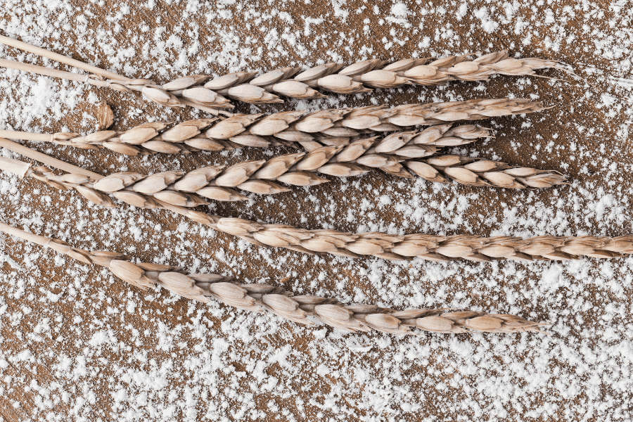 Gesundes Backen mit Dinkel: Die Kraft natürlicher Dinkelbackmischungen
