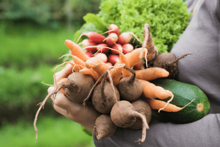 Bio Gemüsesuppen: Natürlich und Wohlschmeckend