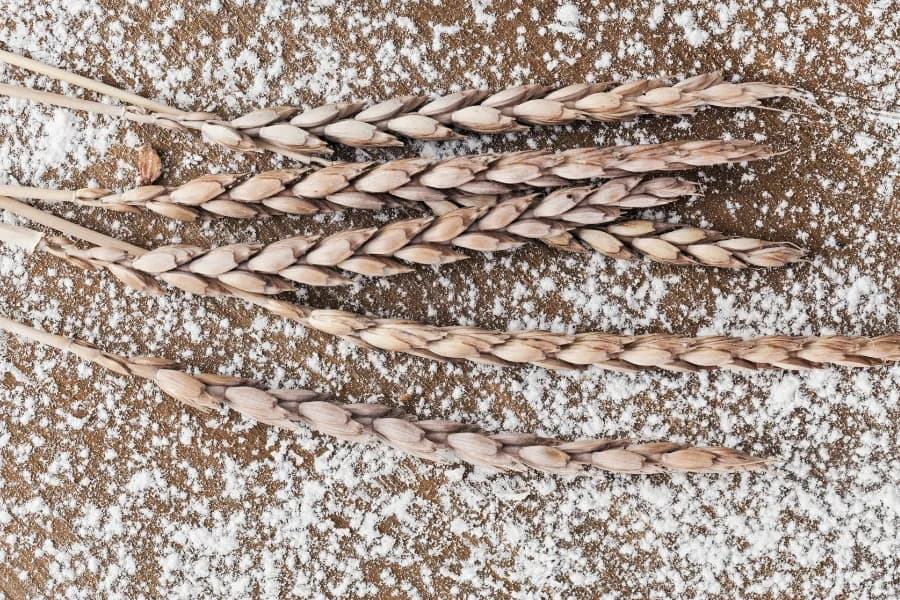 Gesundes Backen mit Dinkel: Die Kraft natürlicher Dinkelbackmischungen