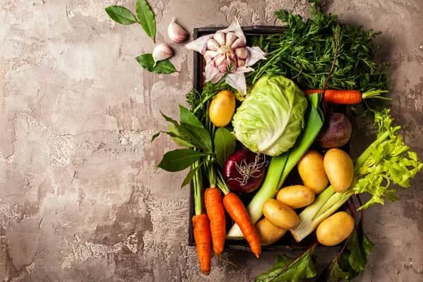 Köstliche Bio Gemüsesuppen von RASO – Natürlich und Gesund